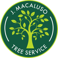 J. Macaluso Tree Service