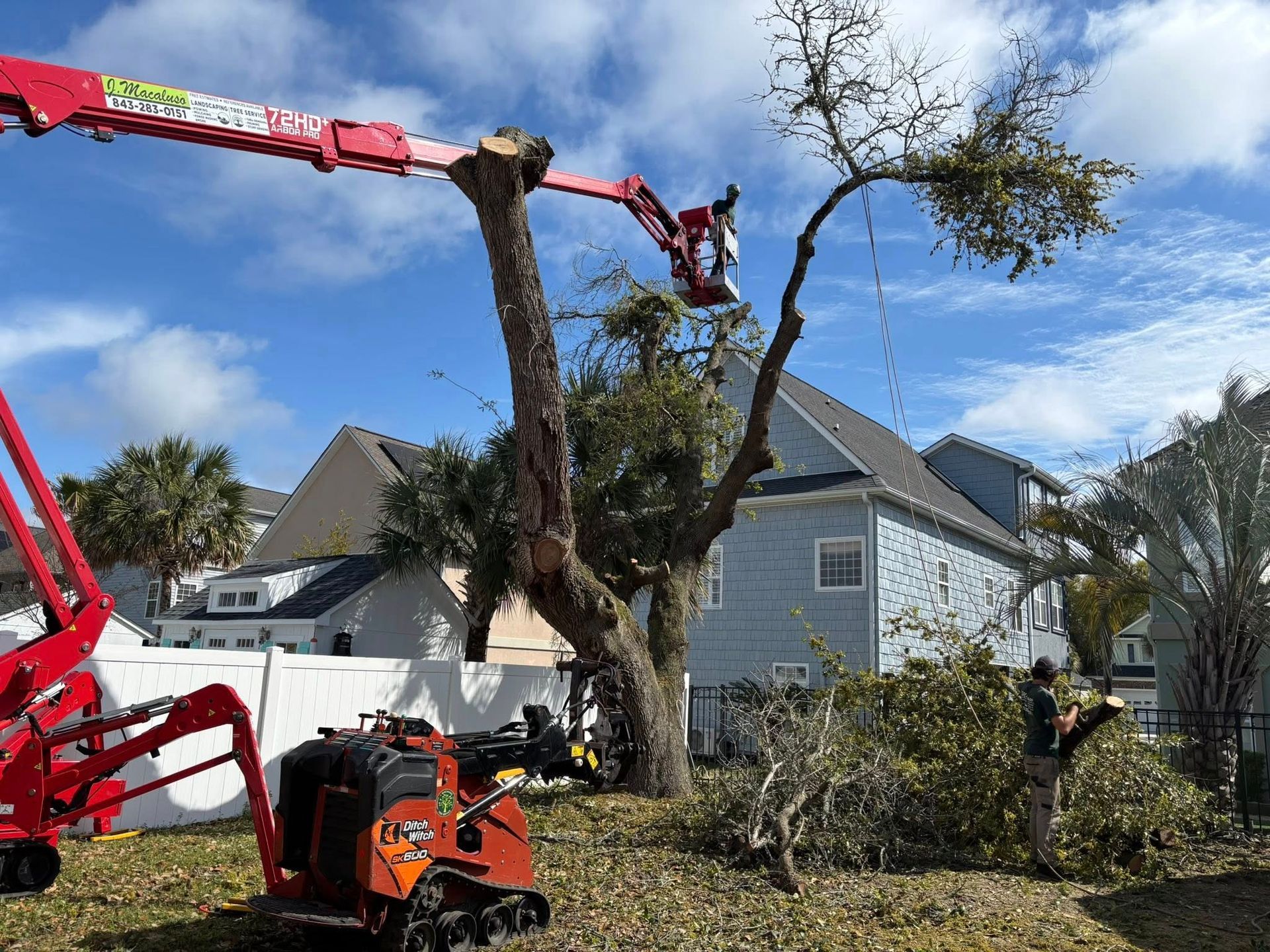 Hurricane Season Tree Preparation Tips for Myrtle Beach Homeowners