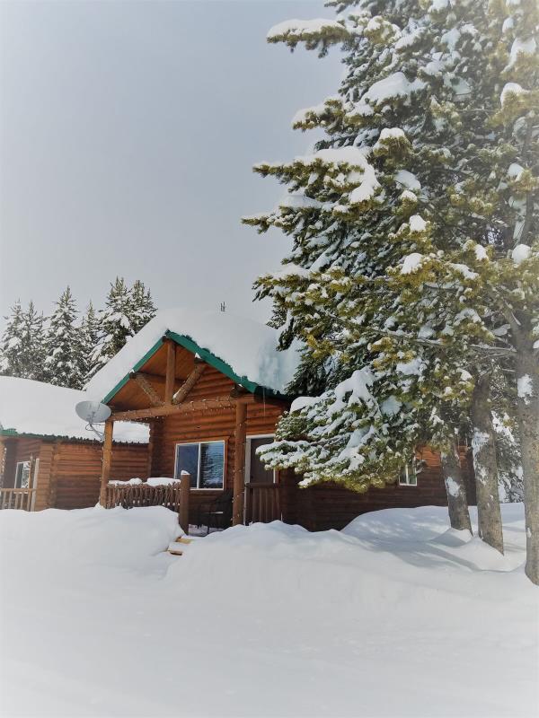 front view of snow covered cabin and pine tree