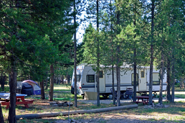 RVs on a camground