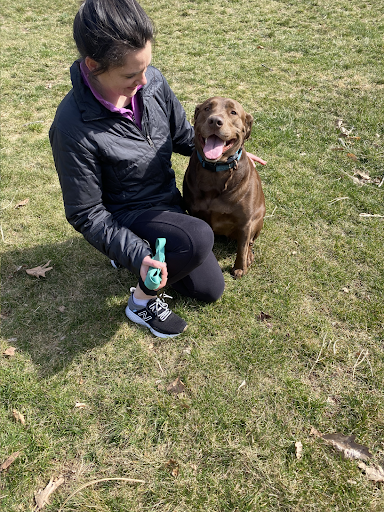 A woman is kneeling down next to a brown dog in a grassy field.