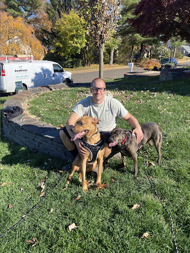 A man is sitting in the grass with two dogs.