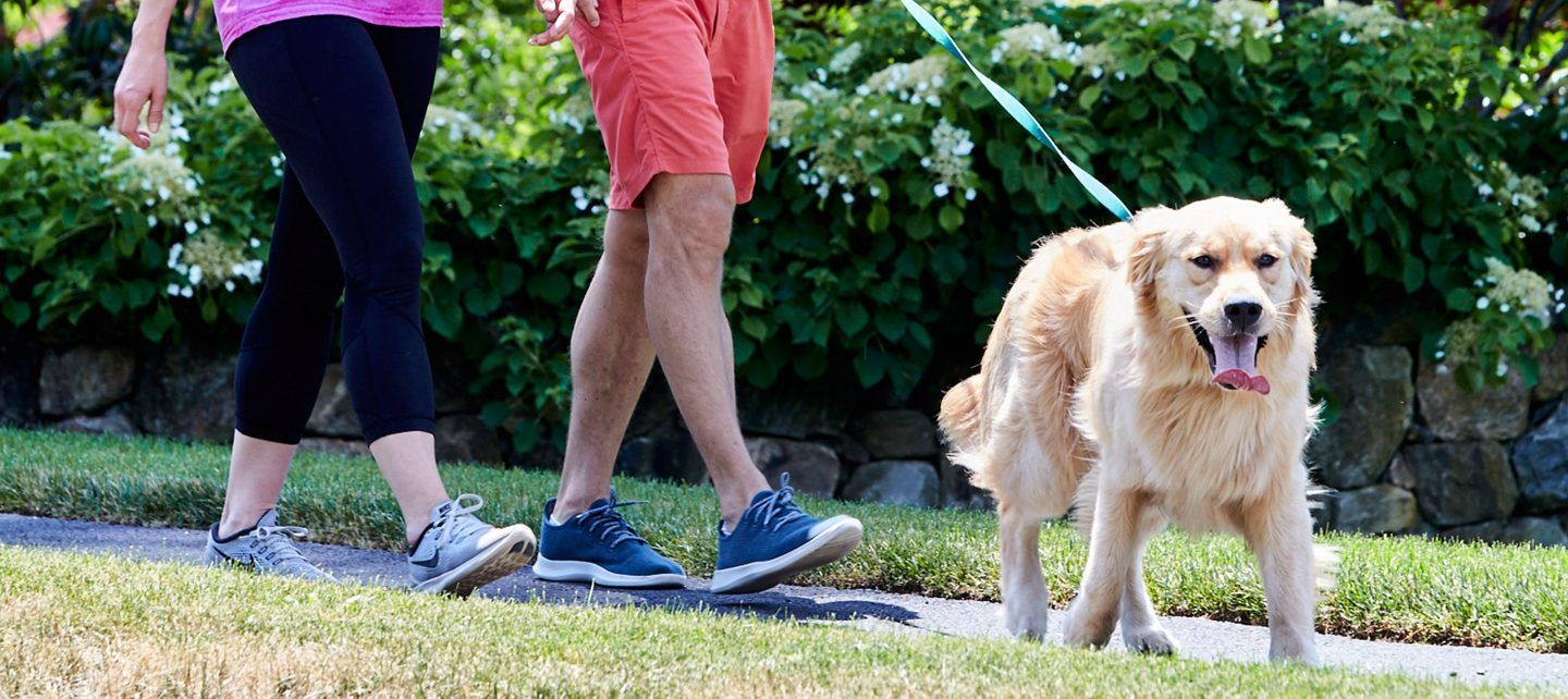 SideWalker Leash