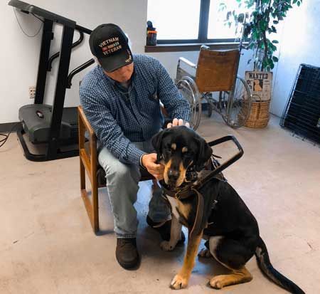 Donated Dog — Springfield, MO — K9s For Camo