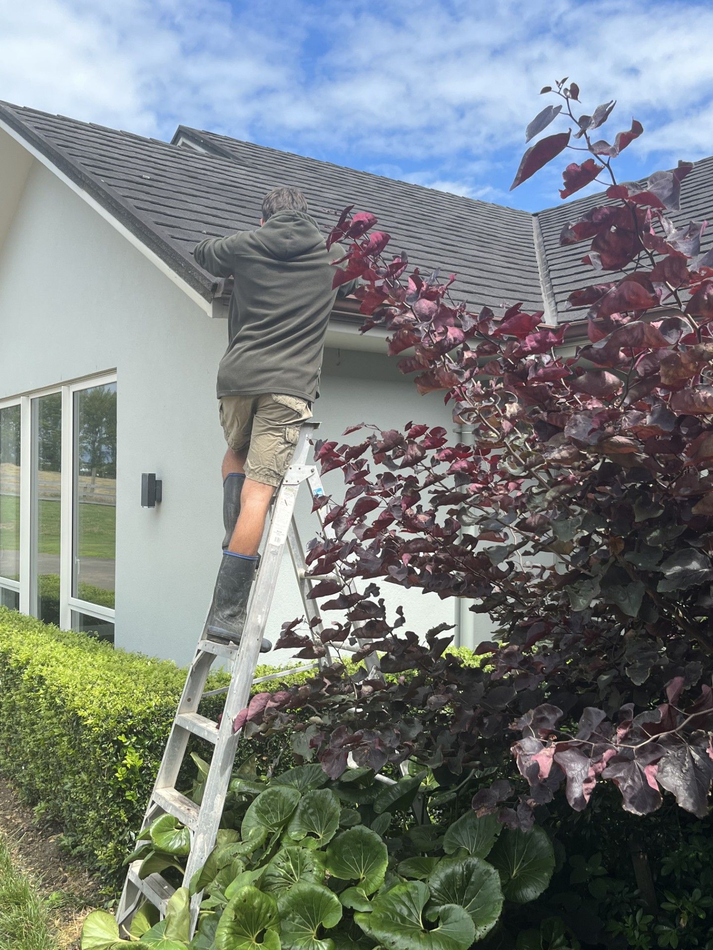 Cleaning Gutter