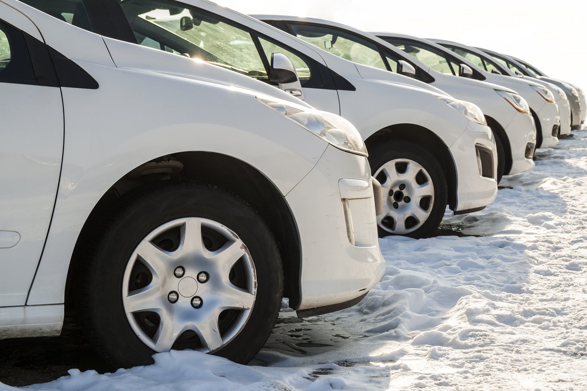 A row of white cars are parked in the snow