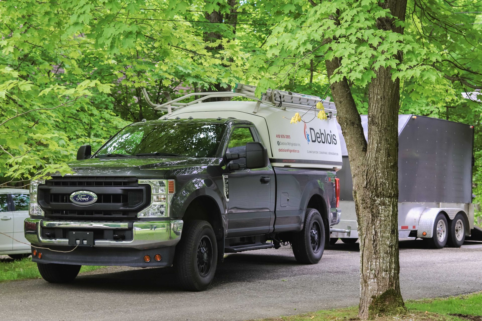 Un pick-up Ford gris foncé avec une capote blanche et une remorque attelée est stationné près d'un arbre.