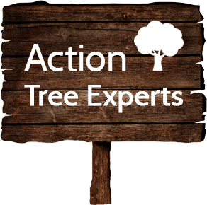 Action Tree Experts