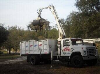 Cleaning tree residue — Tree Truck in Lady Lake, FL
