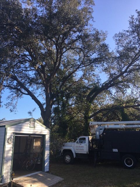 Lift Arm for Tree Trimming — Lady Lake, FL — Action Tree Experts
