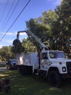 Tree Service with Truck — Lady Lake, FL — Action Tree Experts