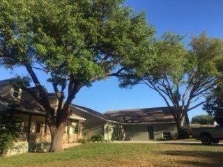 Removed Tree Stump — Lady Lake, FL — Action Tree Experts