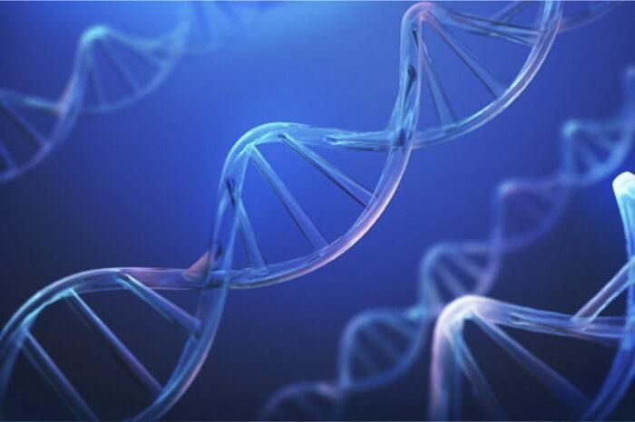 LABORATORIO SAN ÁNGEL