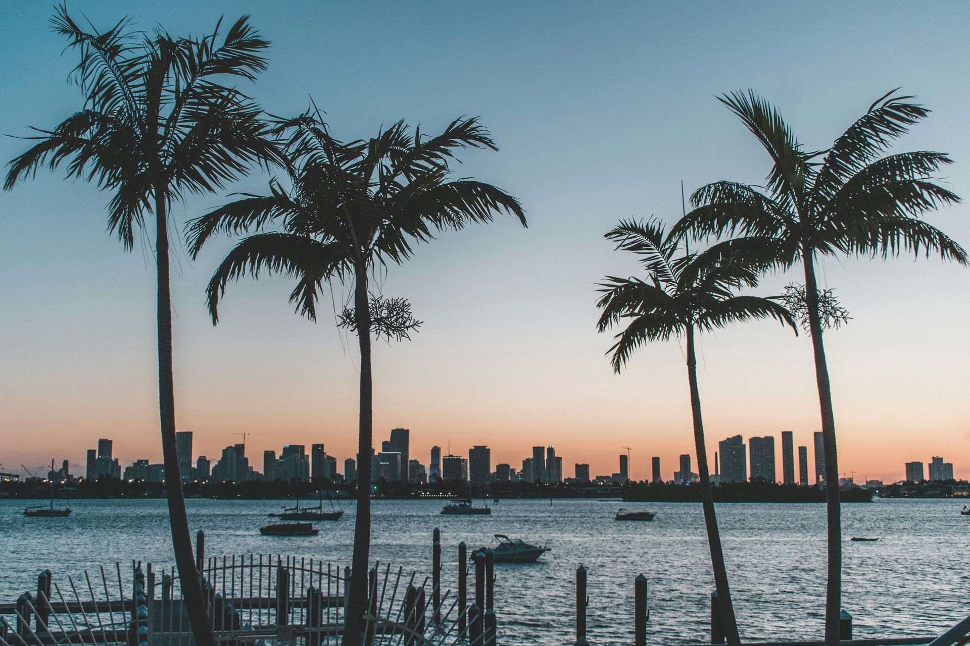 Palm trees silhouetted at sunset over a waterfront, with a city skyline in the distance.