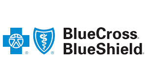 The blue cross blue shield logo has a blue cross and a medical symbol on it.