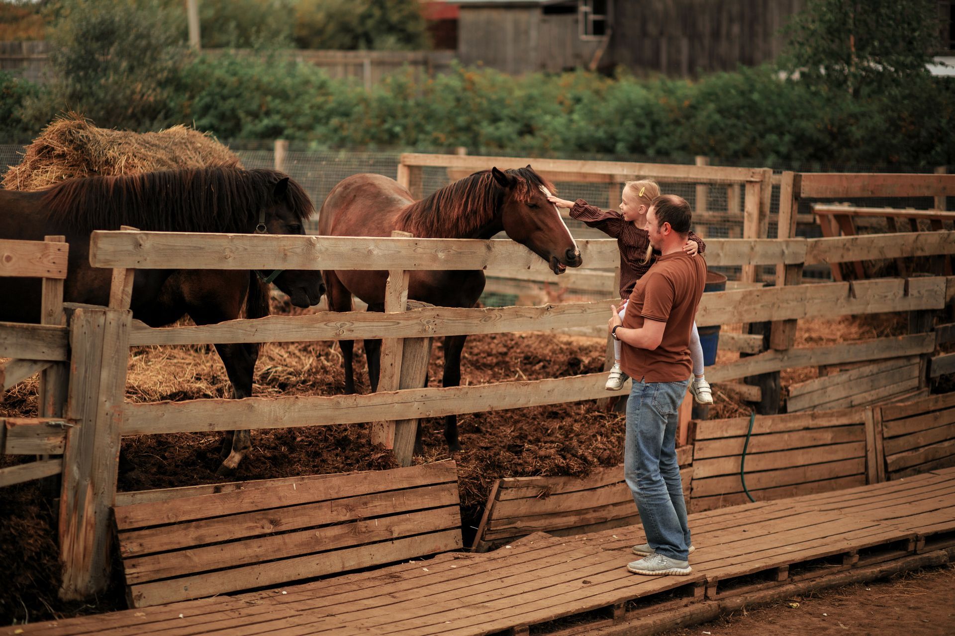 A man and a child are petting a horse behind a wooden fence.