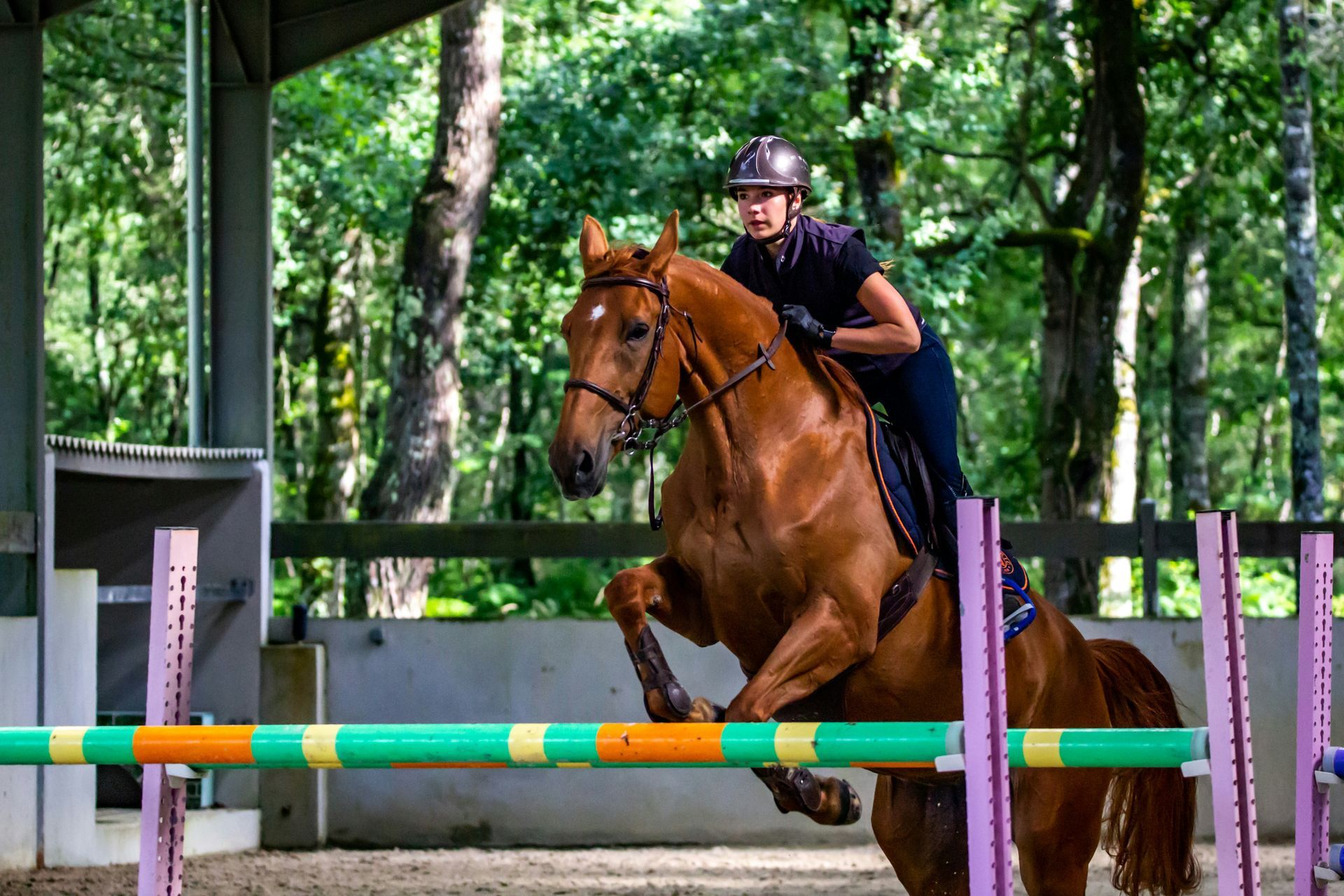 A woman is riding a brown horse over a hurdle.