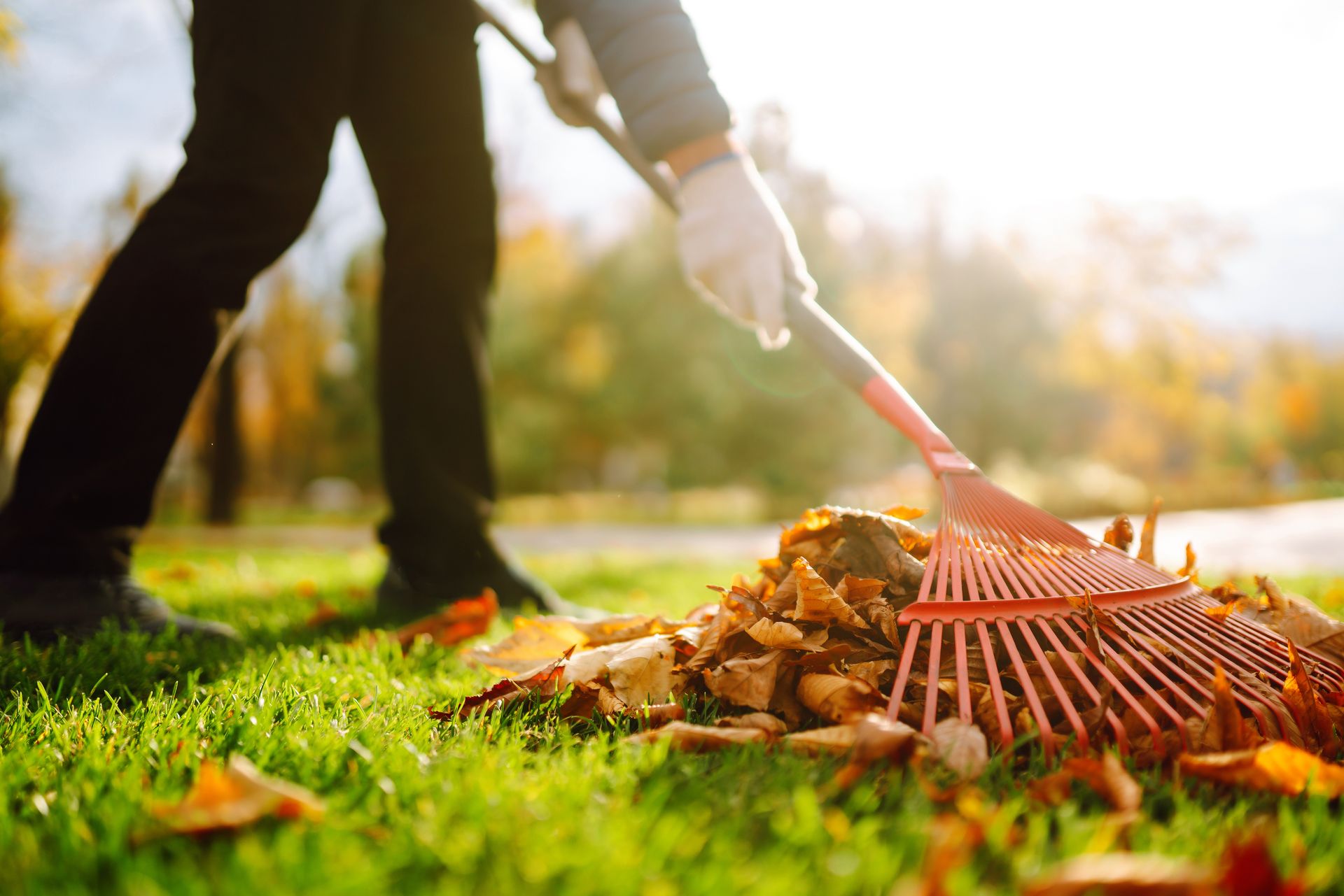 Person raking fallen autumn leaves into a pile on a grassy lawn