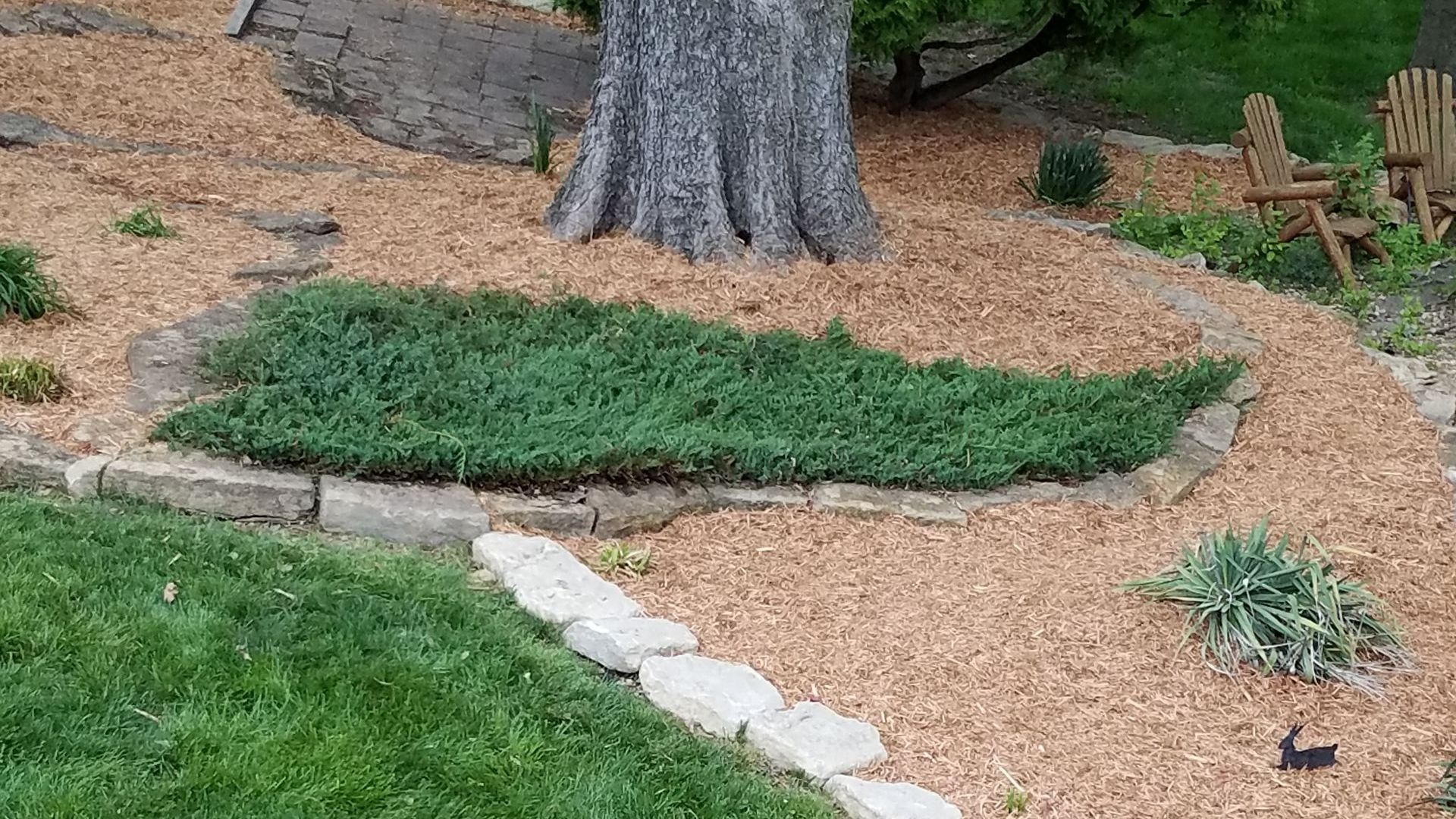 A lush green lawn with hardscaping and landscaping