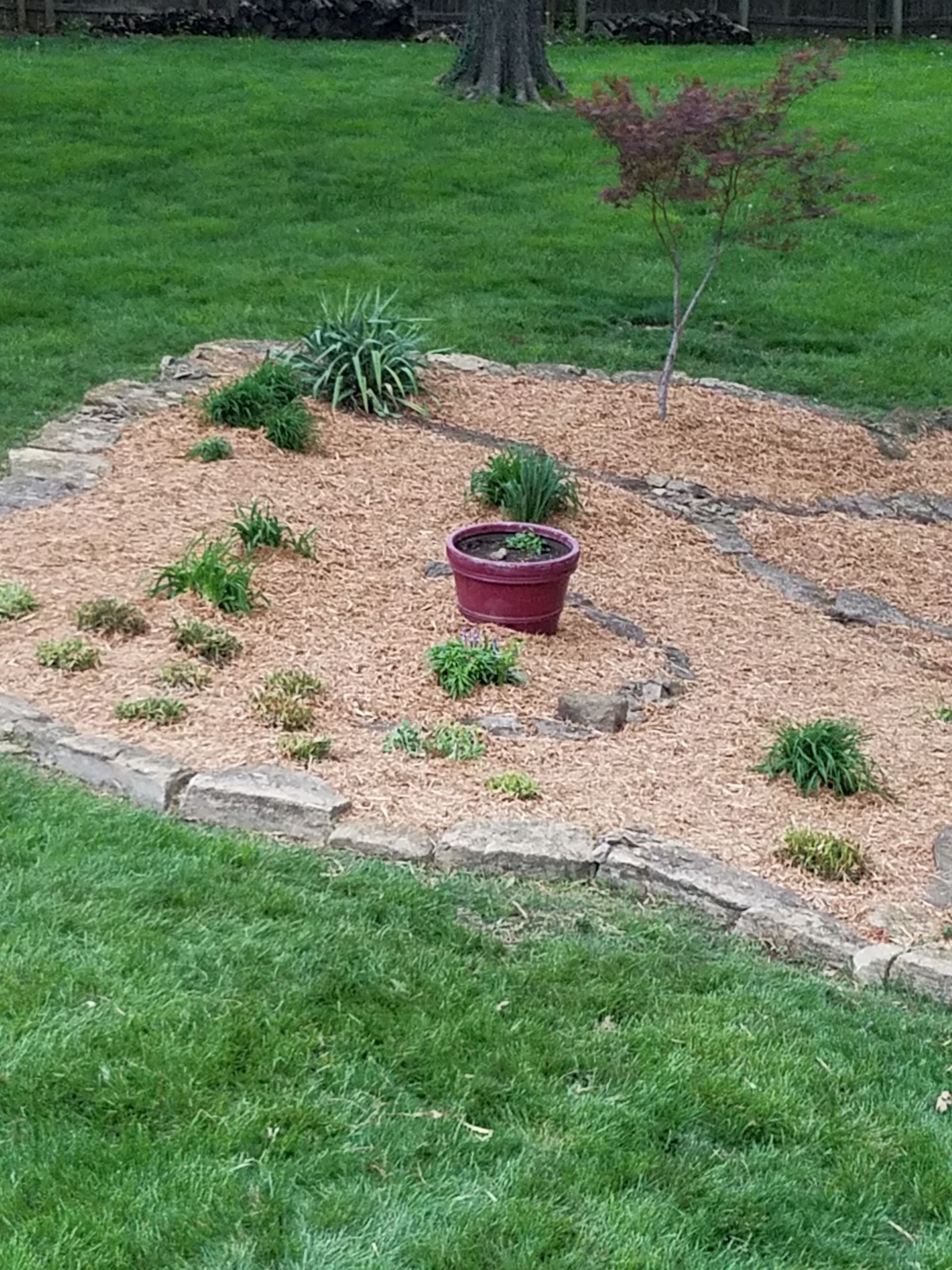 There is a purple pot in the middle of the hardscaped garden