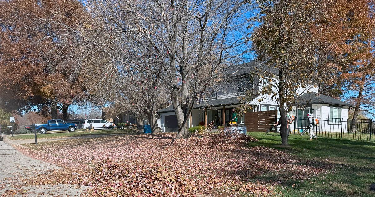 A house with a lot of leaves on the ground in front of it.