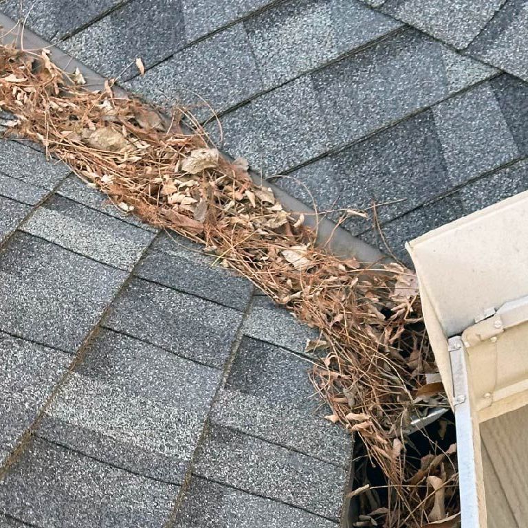 A gutter filled with leaves and branches on a roof.