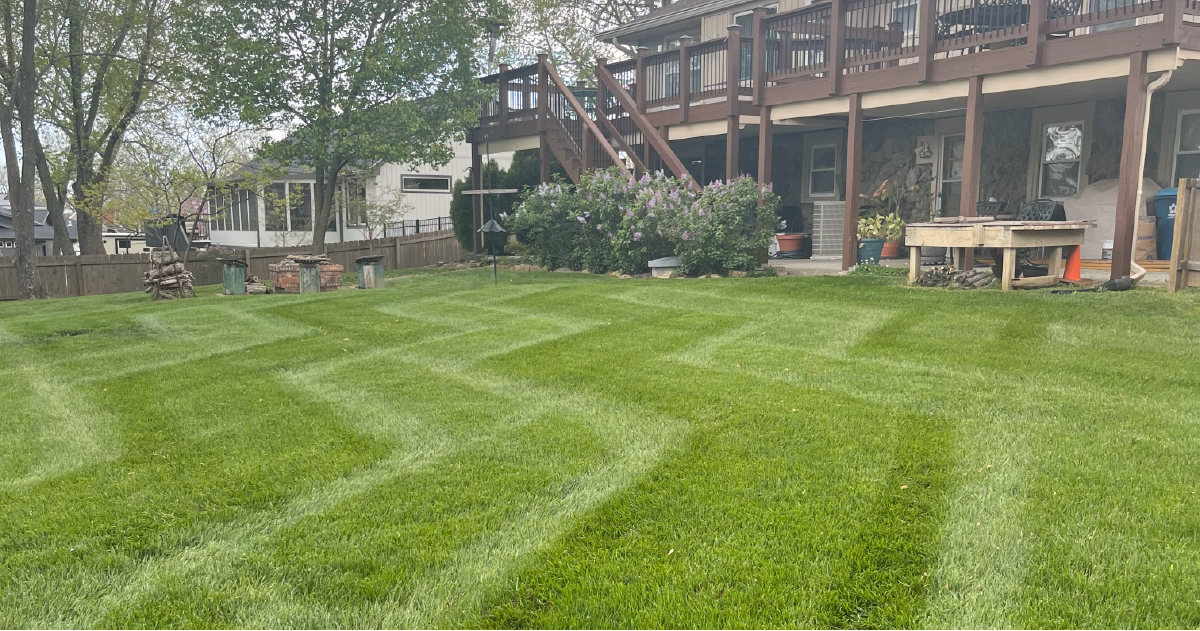 A lush green lawn is free of weeds in a cool pattern