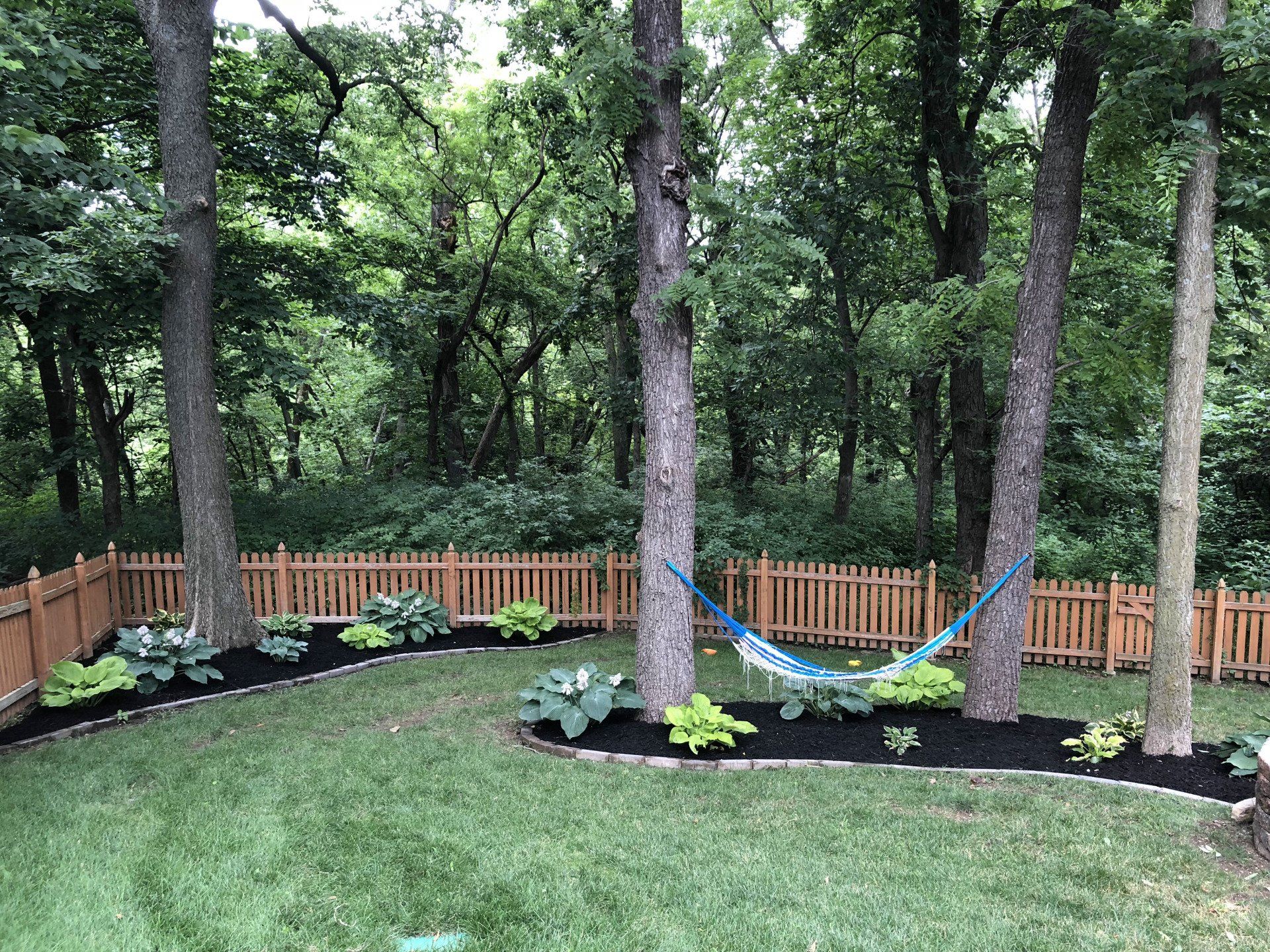 A backyard with a wooden fence and a hammock between two trees.