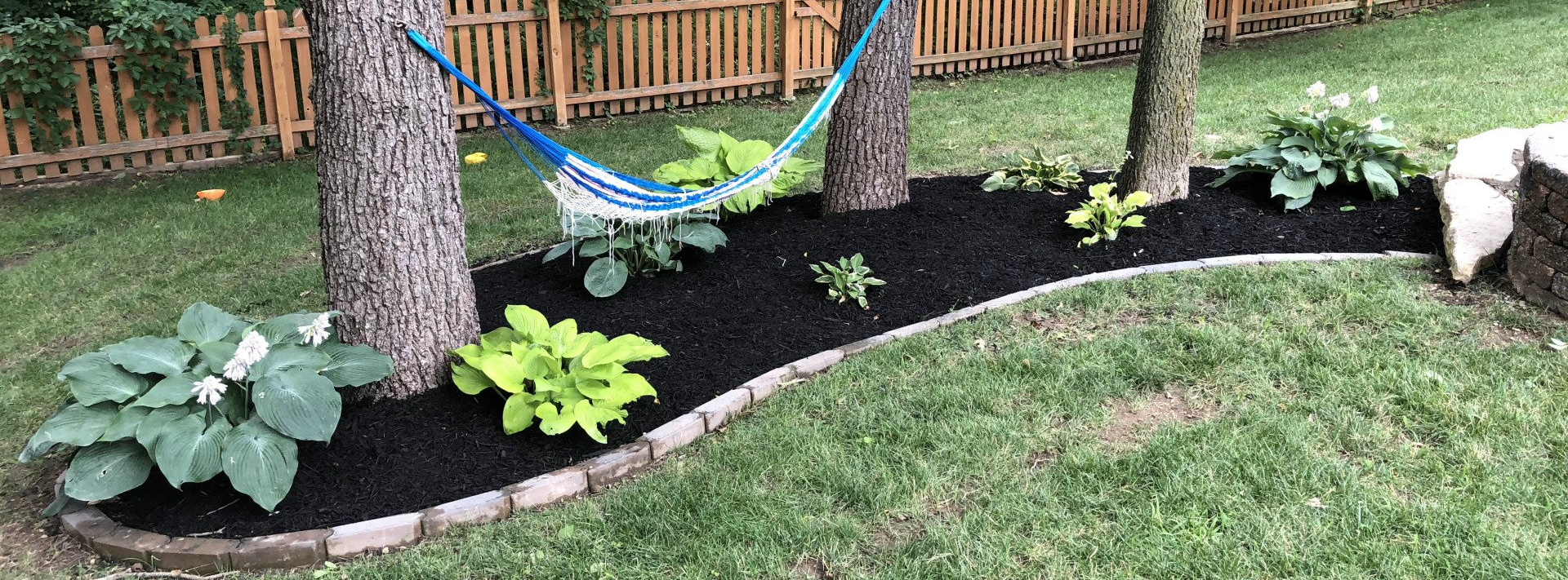 A hammock is hanging between two trees in a garden.