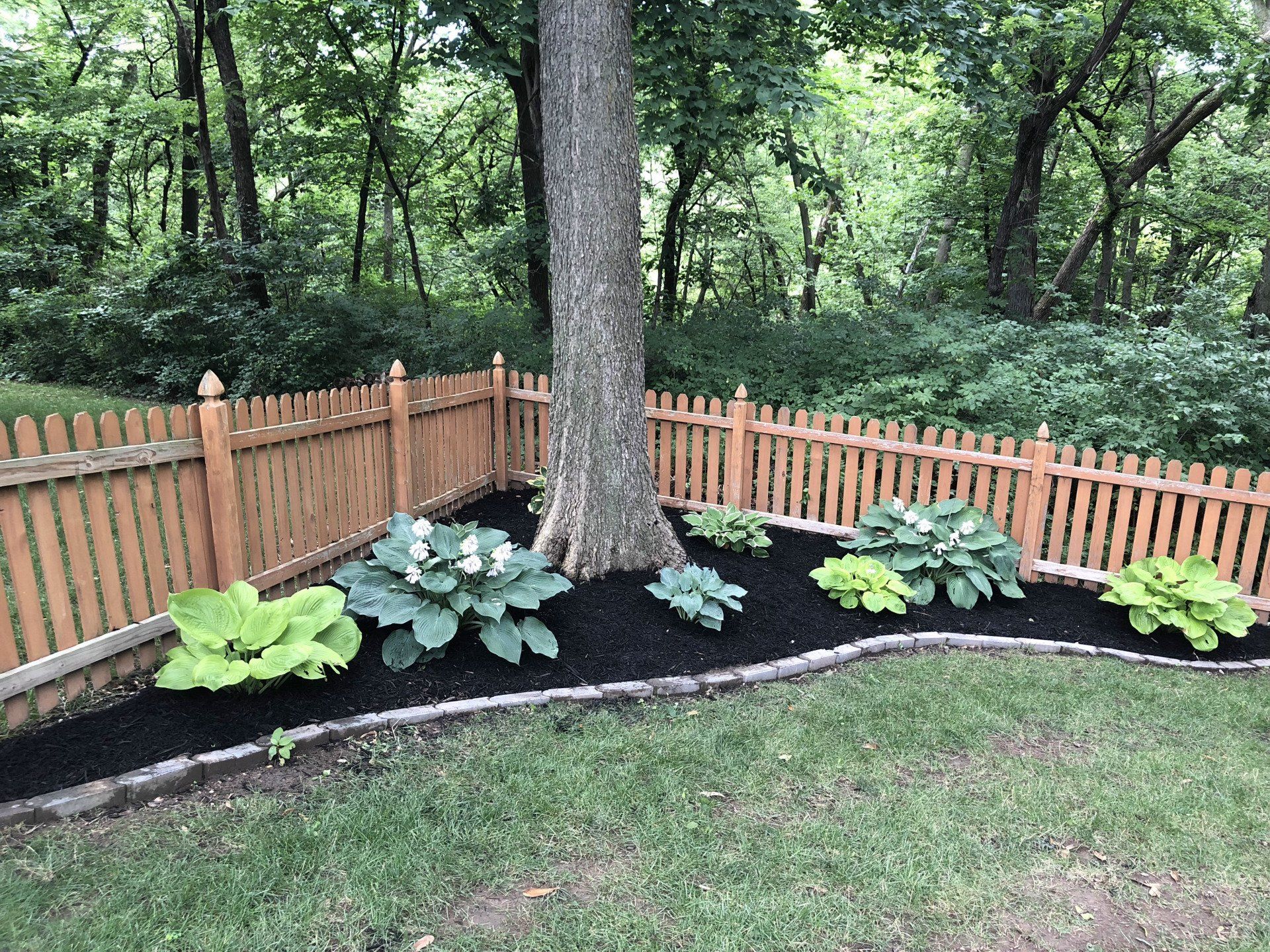 A wooden picket fence surrounds a lush green garden.