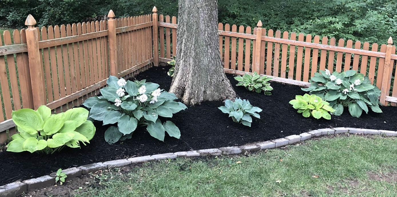 A wooden fence surrounds a garden with lots of plants and flowers.