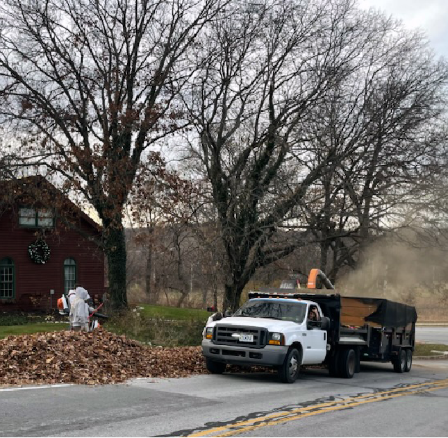 How To Properly Dispose of Fallen Leaves and Other Yard Debris