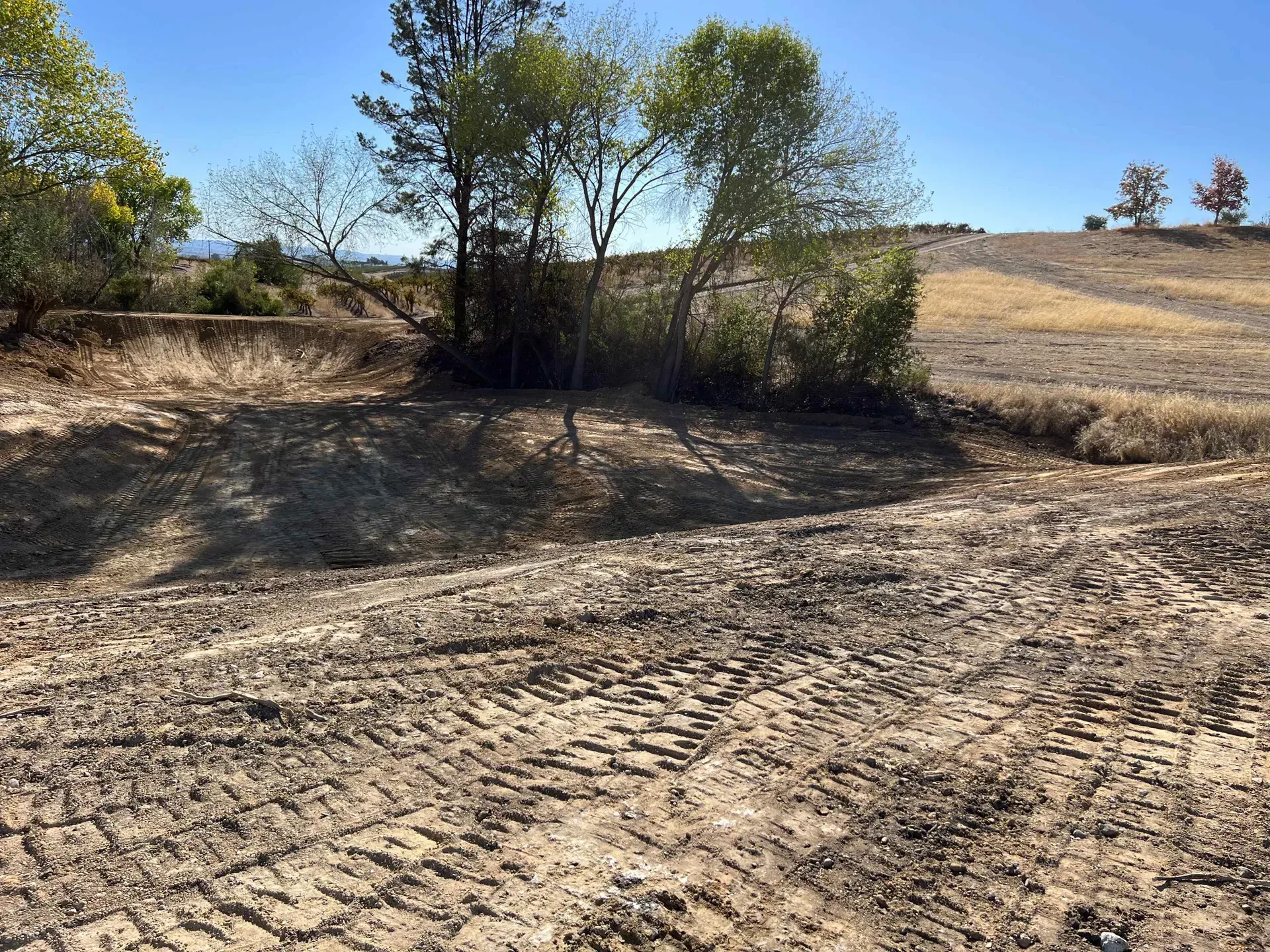 A dirt field with a few trees in the background