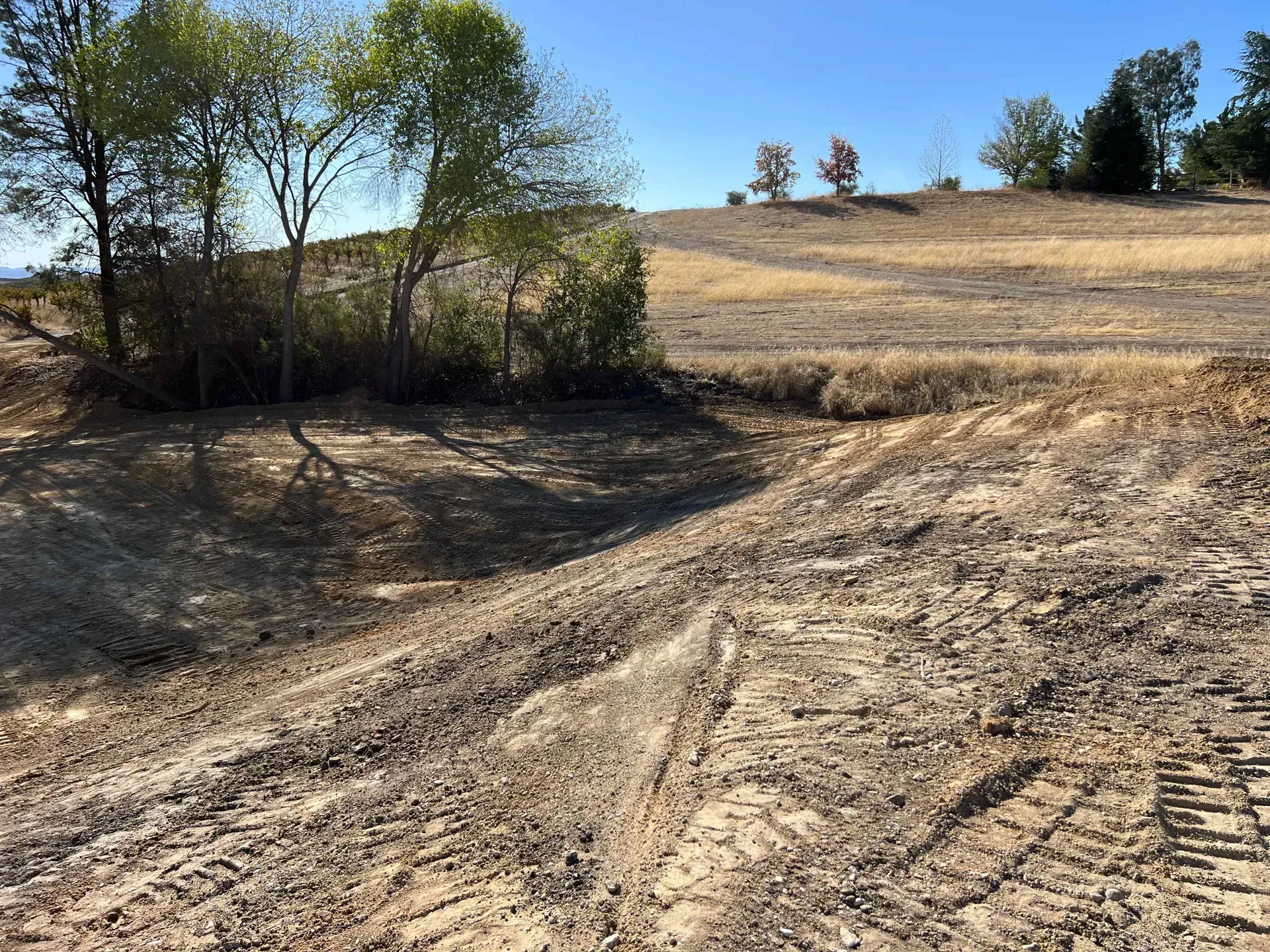 A dirt road going through a field with trees in the background.