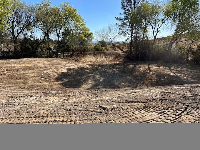 A dirt road surrounded by trees and bushes on a sunny day.