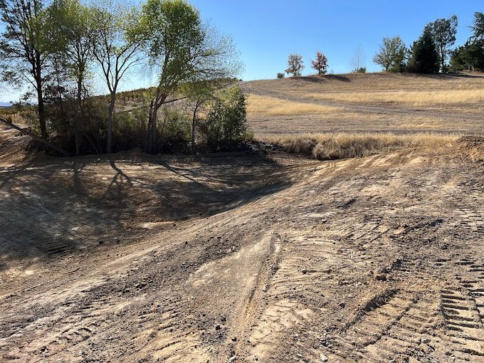 A dirt road going through a field with trees in the background
