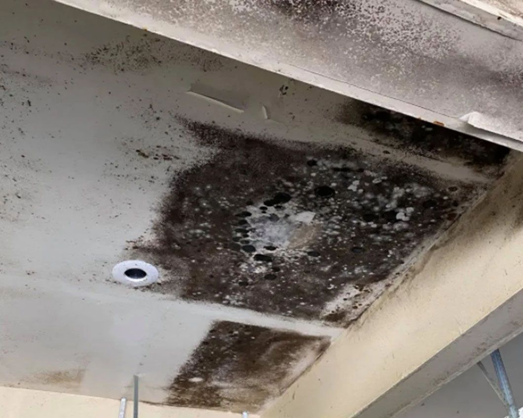 A ceiling with a lot of mold on it and a hole in it.