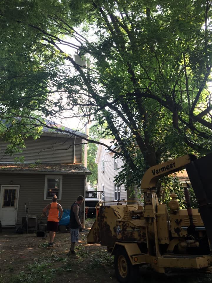Two people near a tree, wood chipper, and buildings. Branches are being fed into the chipper.