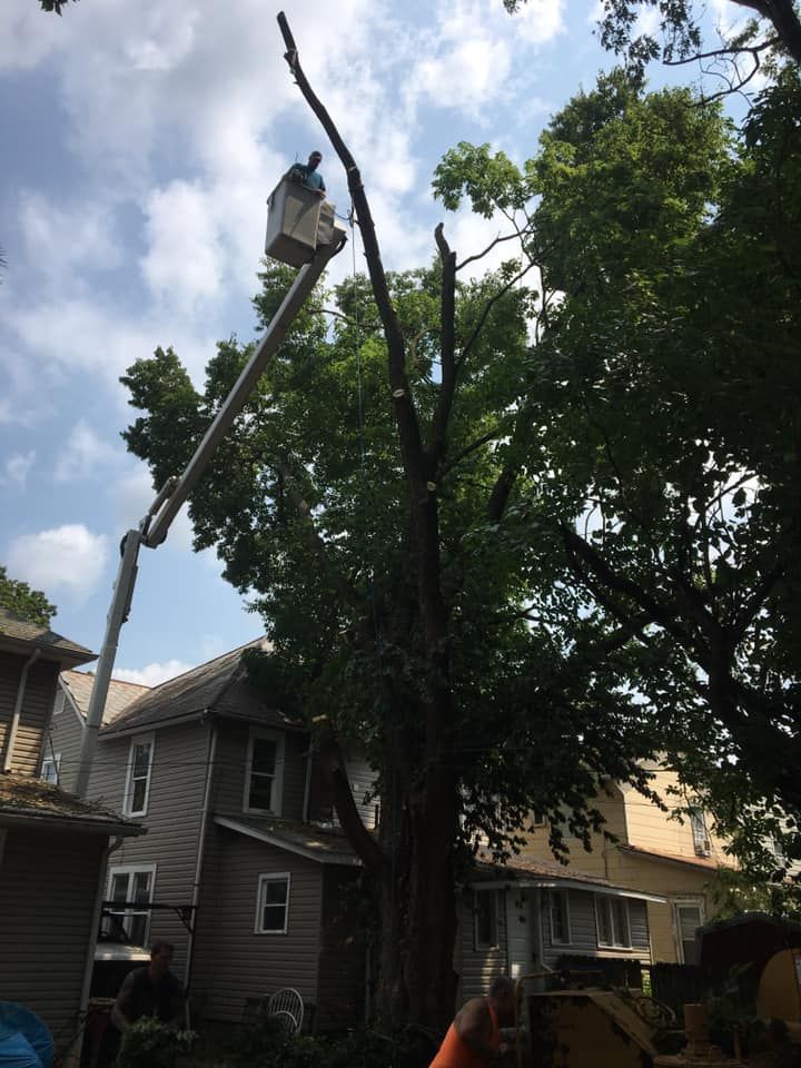Tree being trimmed by a worker in a lift basket next to a residential building on a cloudy day.