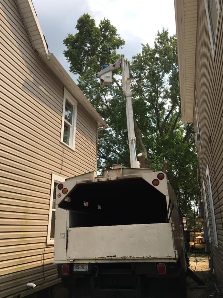A utility truck parked between two buildings has an elevated arm for accessing trees.