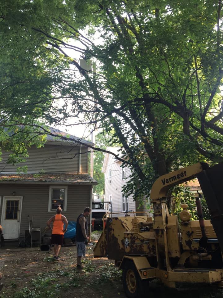Two men near a tree chipper, trees, and houses. One man wears orange. Sunny outdoor setting.