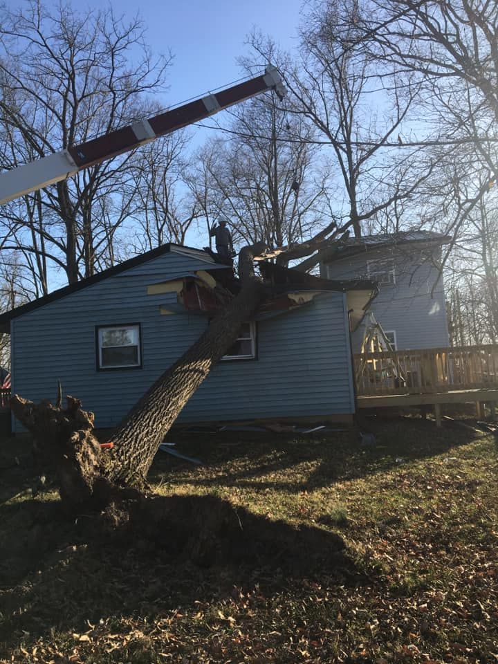 A fallen tree on a blue house being cut by a person using a crane.