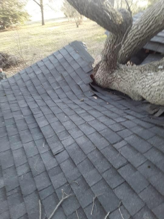 Tree branch breaks through a dark shingled roof, damaging the structure.