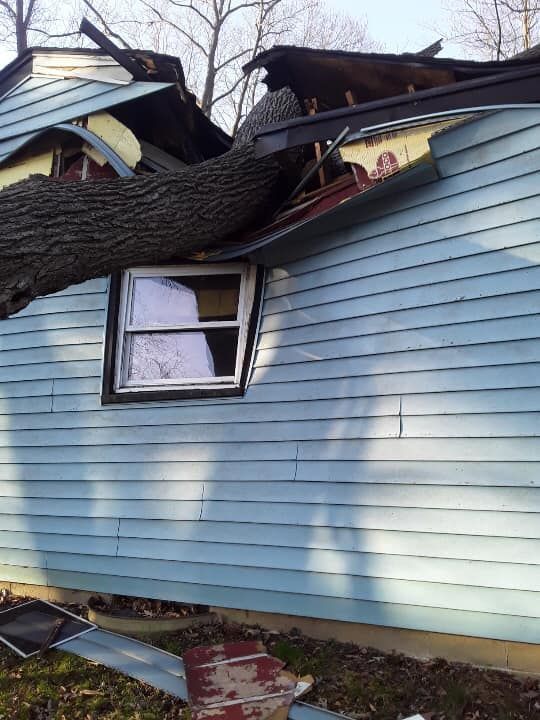 A tree trunk crashed through a light blue house roof, damaging the structure.