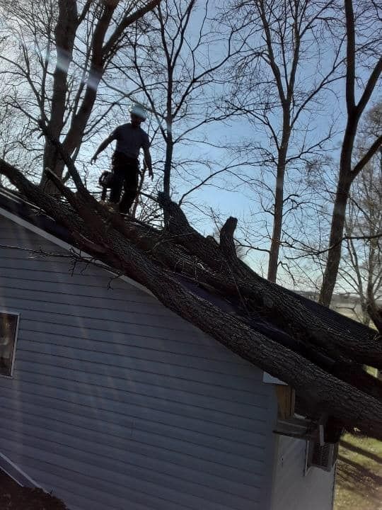Man with chainsaw on a roof, cutting tree branches. Branches are lying across the roof of a light blue building.