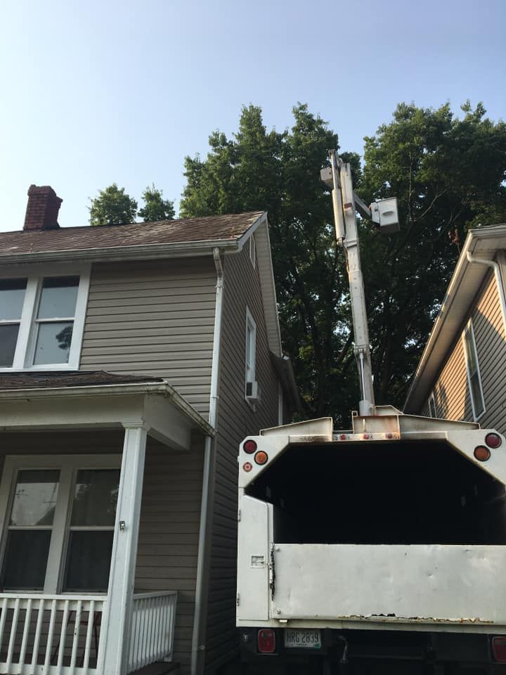 Truck with extended boom near houses, possibly for tree trimming. Clear sky, sunny day.