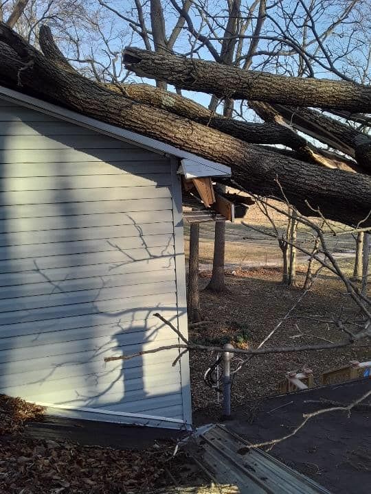 Fallen tree branches on a light blue building's roof, causing damage. Outdoors in daytime.