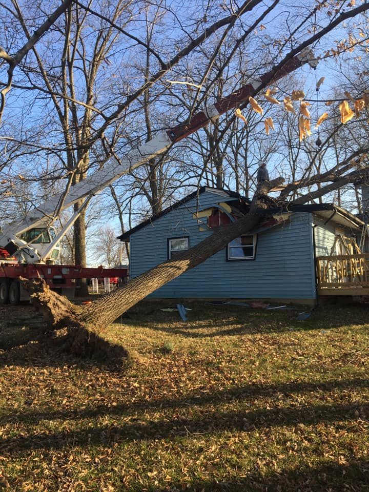 Tree being cut near a blue house; an extended crane is in use.