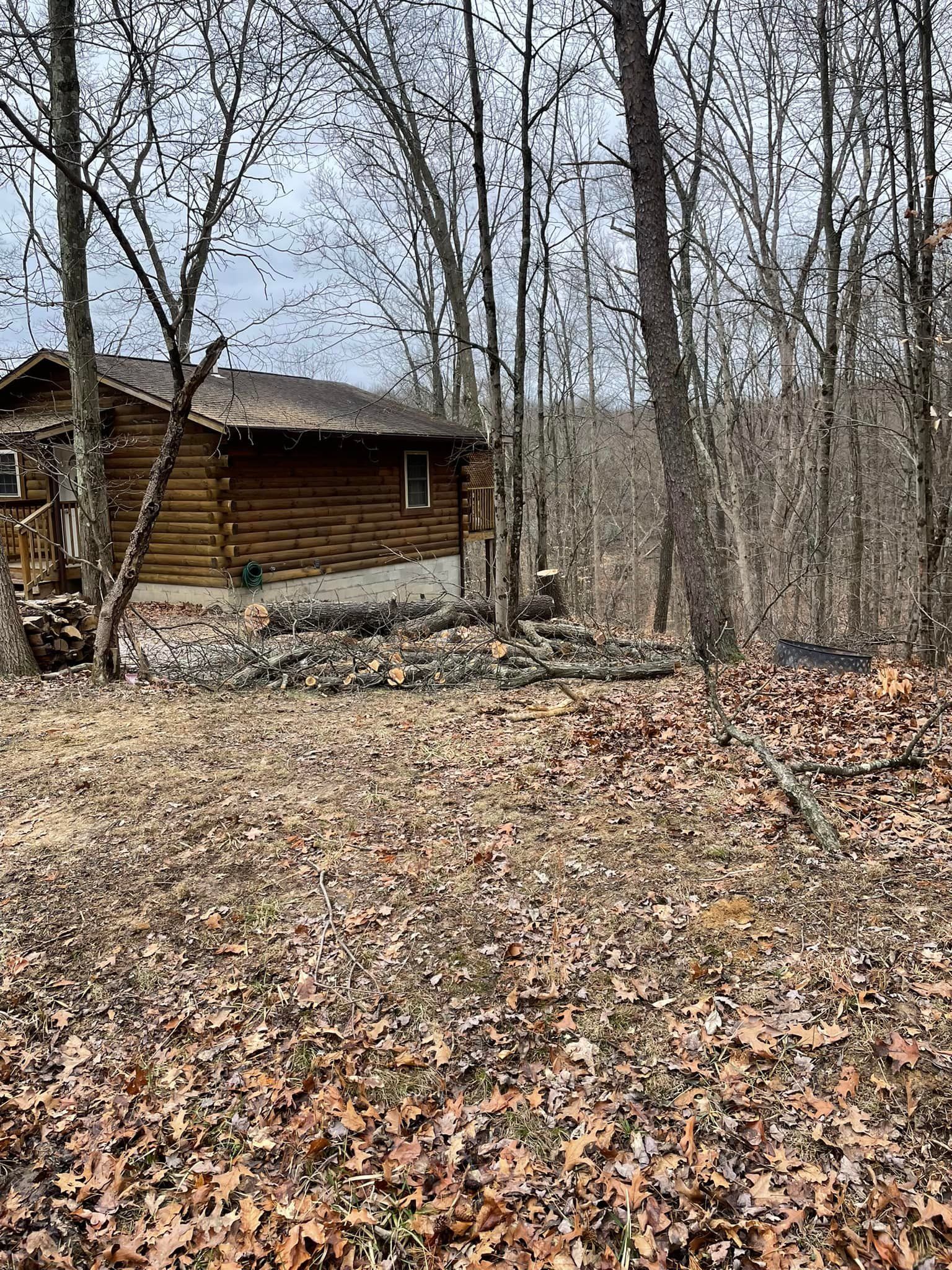 Log cabin in a wooded area with bare trees and fallen leaves. Overcast sky.