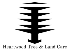 A blurry picture of the word logo on a white background.